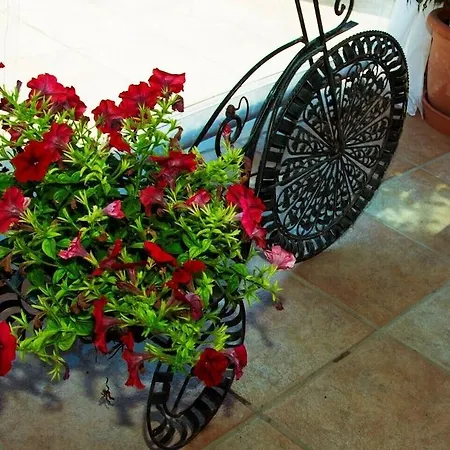 Olive Grove 2* Szidári