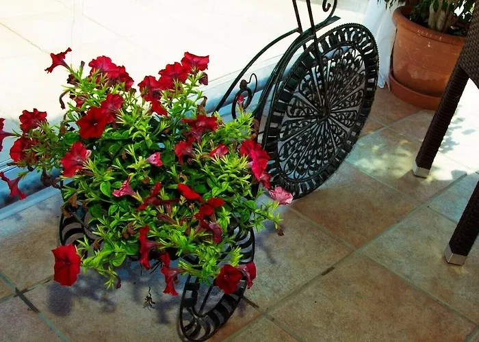 Olive Grove 2* Sidari (Corfu)