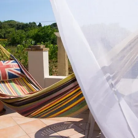 Hotel Olive Grove 2*